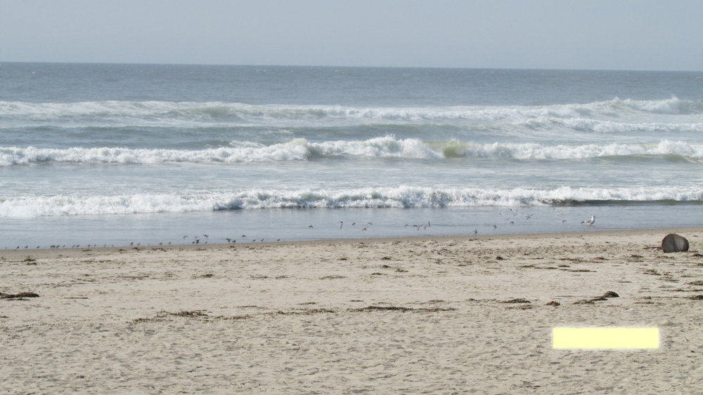 Rockaway Beach RV Park Gallery photo 20
